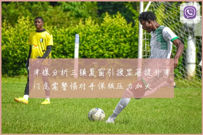津媒分析三镇夏窗引援显著提升津门虎需警惕对手保级压力加大